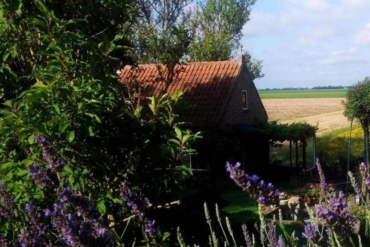 The Cottage - 2 Persoons Cottage Nabij Strand En Meer Zonnemaire Exteriör bild